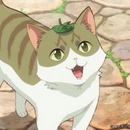 夏アニメ『猫と竜』第1話「猫と竜」先行カット