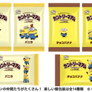 カントリーマアム（バニラ＆チョコバナナ）　ｍｉｎｉｏｎ