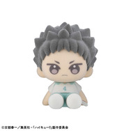 ぬいっぽ ハイキュー！！ 6個入りBOX（岩泉一）