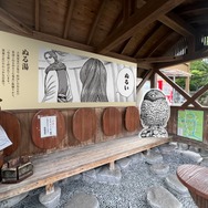 【5】河了貂と並んで撮れる「ぬる湯」足湯スポット