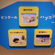 「可愛いだけじゃない！？ピングー展」