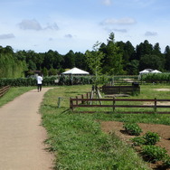 農園リゾート THE FARM