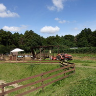 農園リゾート THE FARM