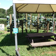 農園リゾート THE FARM