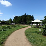 農園リゾート THE FARM