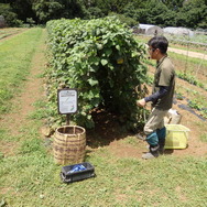 農園リゾート THE FARM