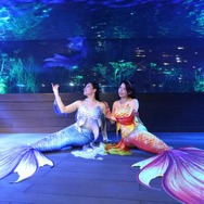 「天空のペンギン」水槽でマーメイドショーを開催