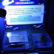 夜間限定営業 サンシャイン水族館×超かぐや姫！ ツクヨミアクアリウム