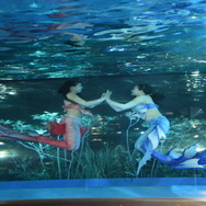 夜間限定営業 サンシャイン水族館×超かぐや姫！ ツクヨミアクアリウム