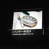 夜間限定営業 サンシャイン水族館×超かぐや姫！ ツクヨミアクアリウム