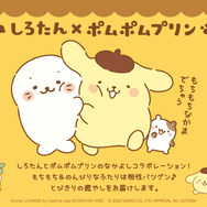 しろたん×ポムポムプリン