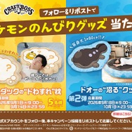 「ポケモンのんびりグッズ当たる！」キャンペーンについて
