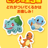 31ポケ夏
