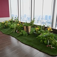本イベントの展示