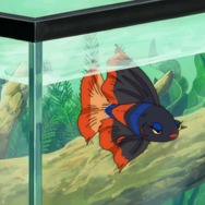 夏アニメ『さよならララ』第2話「滋賀を走る」先行カット