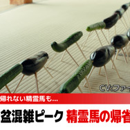 TOYOTAの新CM