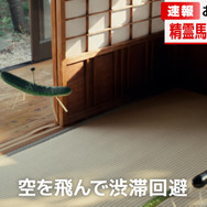 TOYOTAの新CM