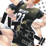 『ハイキュー!!』書影　（45巻）　(c)古舘春一／集英社