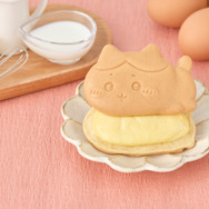ハチワレ（クリーム）