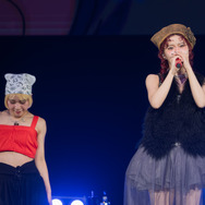 「ONE PIECE DAY'26 SPECIAL LIVE」