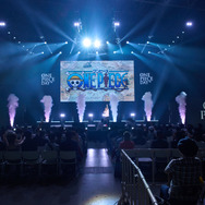 OPENING STAGE