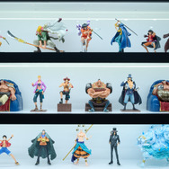 TOY&HOBBY WORLD