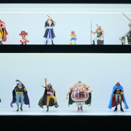 TOY&HOBBY WORLD