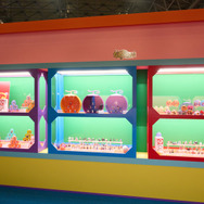 TOY&HOBBY WORLD