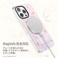『カードキャプターさくら クリアカード編』パレケース（PaleCase）