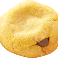 カントリーマアム（プリン味）