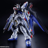 「ABSOLUTE ACT ストライクフリーダムガンダム」