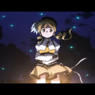 『劇場版 魔法少女まどか☆マギカ〈ワルプルギスの廻天〉』