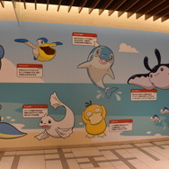 水タイプのポケモンたち