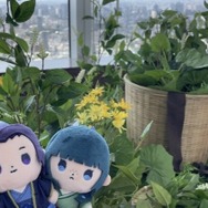 舞が織りなす幻想の世界 ―天空に響く、舞のしらべ―