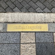 ノルウェー語