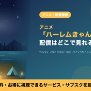 ハーレムきゃんぷっ！ 配信