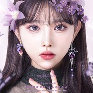 「魔法少女まどか☆マギカ アイコニック イヤオブジェ ～コンプリートセット～」暁美ほむら[AH]