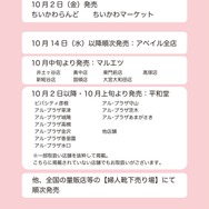 「ちいかわ パイルクルーソックス」