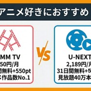 アニメ好きにおすすめの動画配信サービス2選