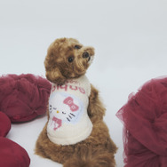 【gelato pique】 CAT＆DOG JQDプルオーバー ￥6,160