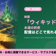 ウィキッド 永遠の約束 配信