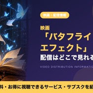 バタフライ・エフェクト 配信