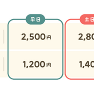 チケット料金