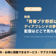 ディアフレンドの夢を見ない 配信
