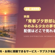 ゆめみる少女の夢を見ない 配信