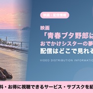 おでかけシスターの夢を見ない 配信