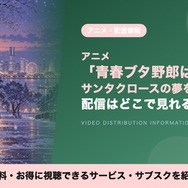 サンタクロースの夢を見ない 配信