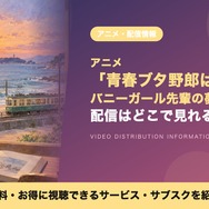 バニーガール先輩の夢を見ない 配信