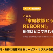 リボーン アニメ 配信