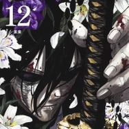 『カグラバチ』１２巻書影